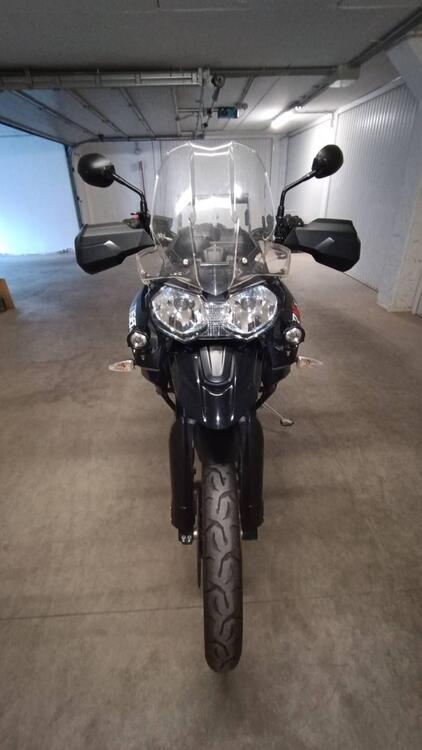 Triumph Tiger 800 XCx (2015 - 17) (3)