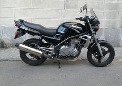 Kawasaki ER-5 500 (2001 - 06) usata