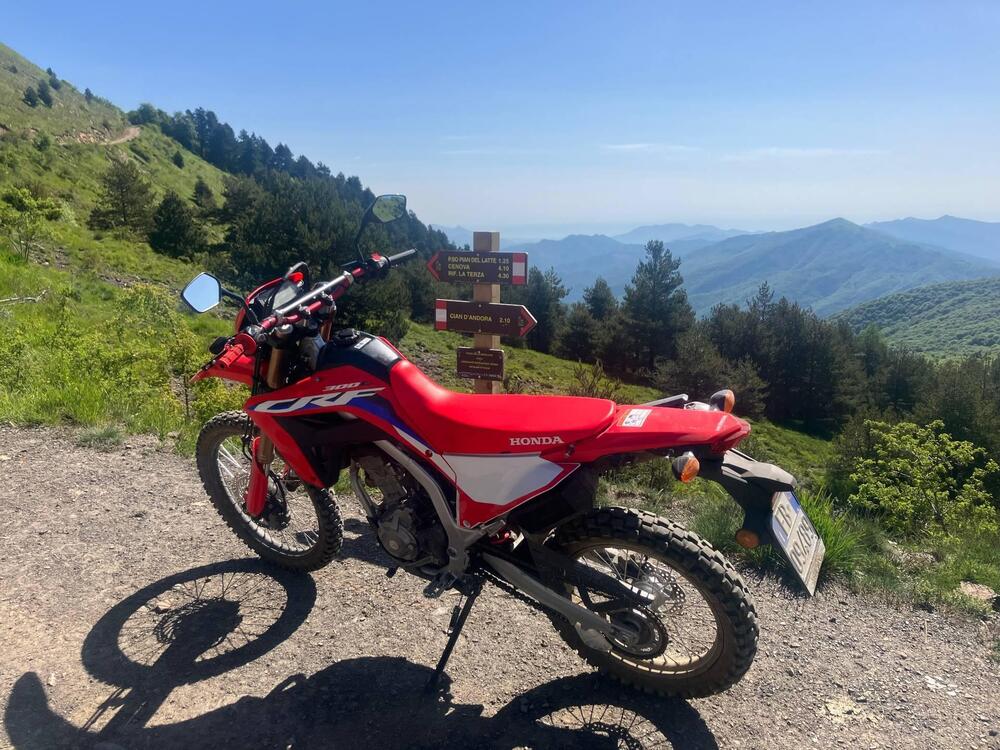 Honda CRF 300 L (2021 - 24) (2)