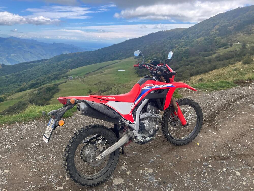 Honda CRF 300 L (2021 - 24)