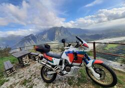 Honda Africa Twin XRV 750 (1992) usata