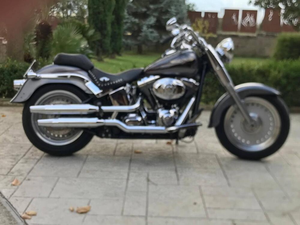 Harley-Davidson 1584 Fat Boy (2008 - 10) - FLSTF (4)