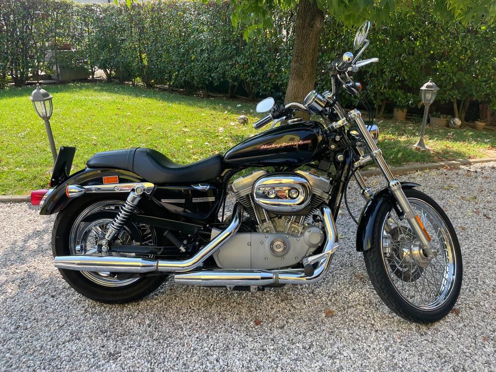 Harley-Davidson 883 Custom (2001 - 05) - XL 53C