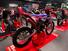 Betamotor RR 50 Enduro Racing (2021 - 24) (6)