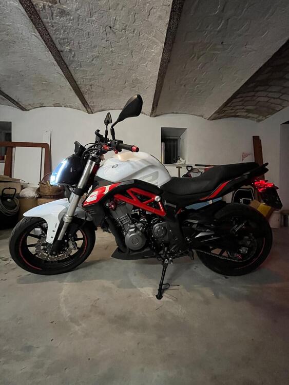 Benelli BN 302 S (2019 - 20) (4)