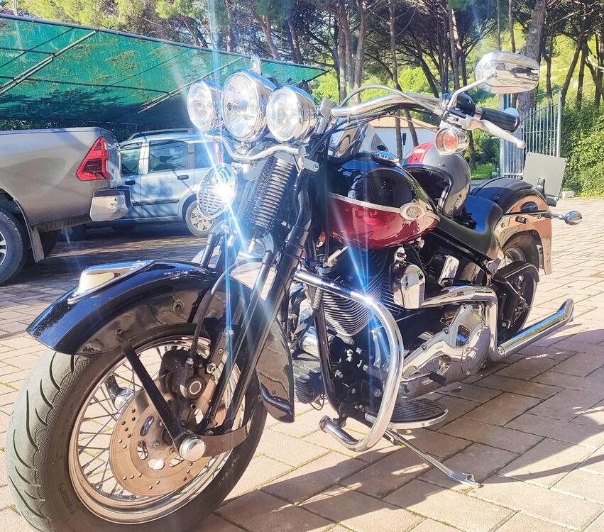 Harley-Davidson 1450 Springer Classic (2005) - FLSTSCI (2)