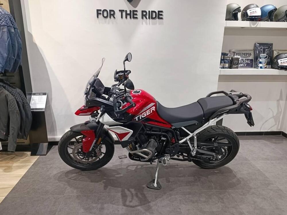 Triumph Tiger 900 GT Aragón Edition (2023 - 24) (5)