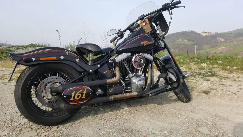 Harley-Davidson 1584 Cross Bones (2008 - 11) - FLSTSB (7)