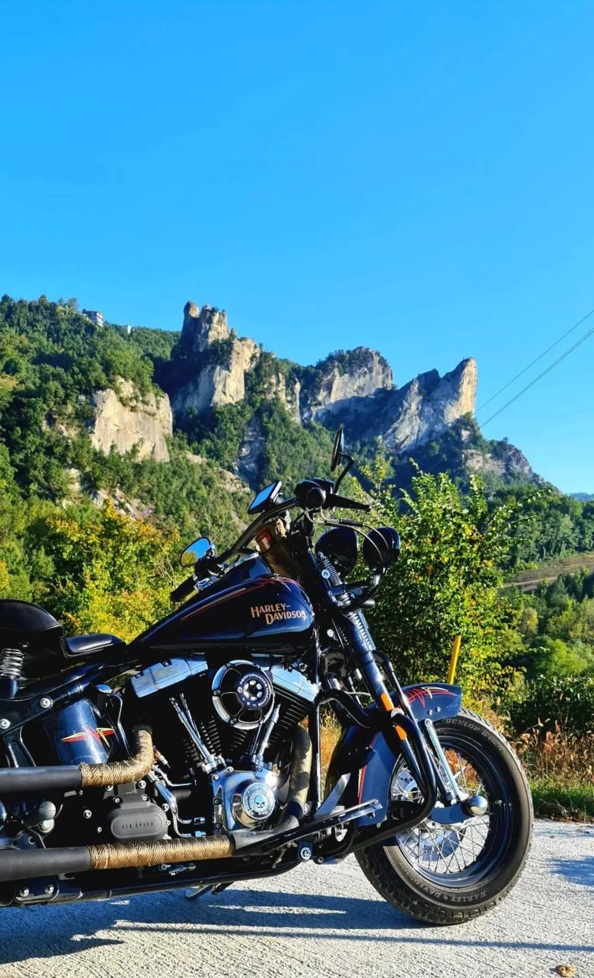 Harley-Davidson 1584 Cross Bones (2008 - 11) - FLSTSB (9)