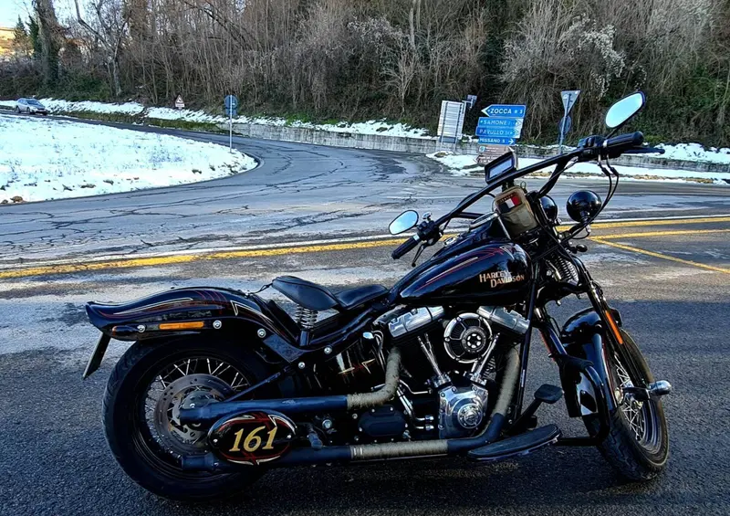 Harley-Davidson 1584 Cross Bones (2008 - 11) - FLSTSB (17)