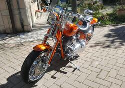 Harley-Davidson 1800 Springer (2009 - 12) - FXSTSSE usata