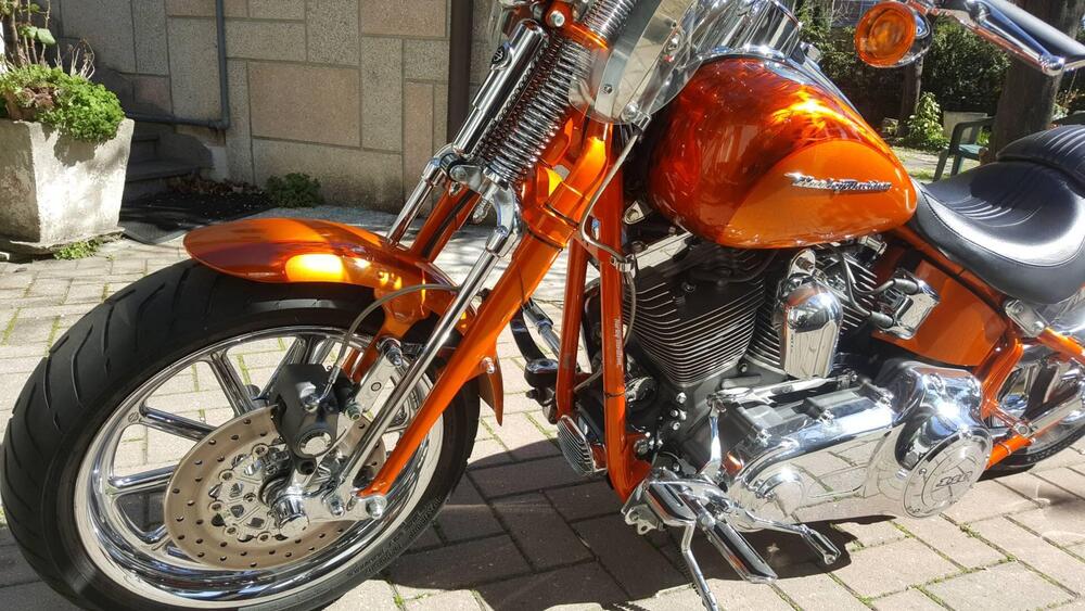 Harley-Davidson 1800 Springer (2009 - 12) - FXSTSSE (3)