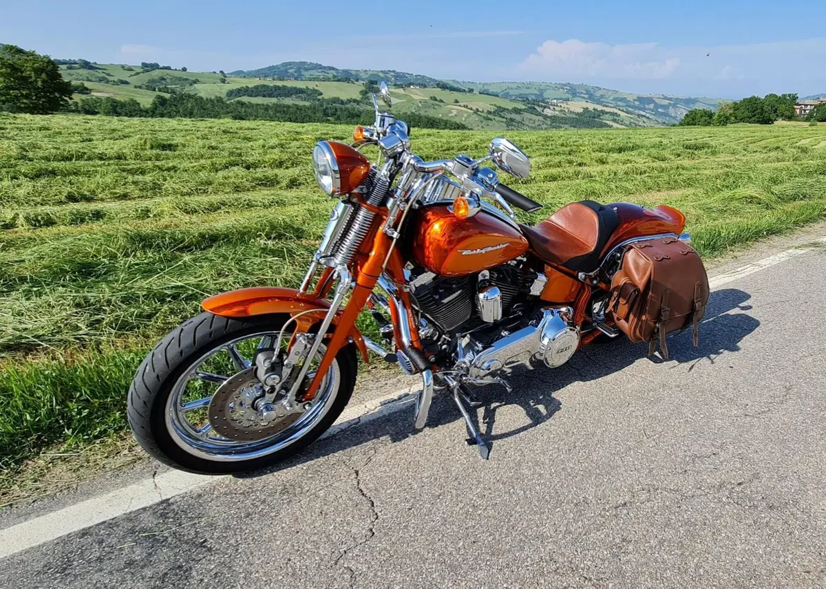 Harley-Davidson 1800 Springer (2009 - 12) - FXSTSSE (13)