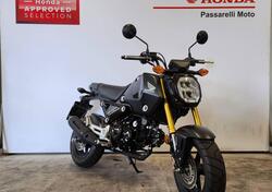 Honda MSX 125 Grom (2021 - 24) usata