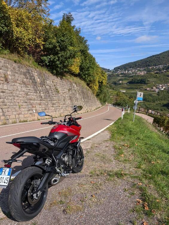 Triumph Tiger Sport 660 (2022 - 24) (3)