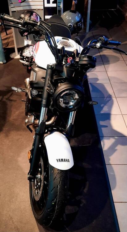 Yamaha XSR 700 (2022 - 24)