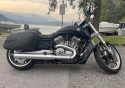 Harley-Davidson 1250 V-Rod Muscle (2009 - 17) - VRSCF usata