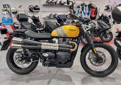 Triumph Scrambler 900 (2023 - 24) usata