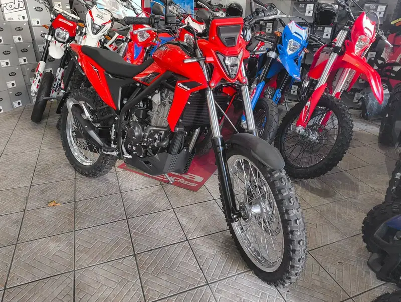 Betamotor Alp 4.0 (2024 - 26) (2)