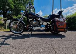 Harley-Davidson 1584 Custom (2007) - FXSTC usata