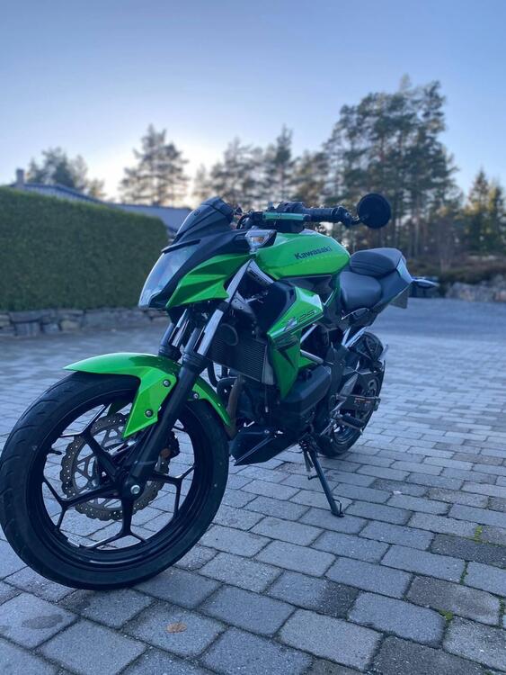 Kawasaki Z 125 (2019 - 20)