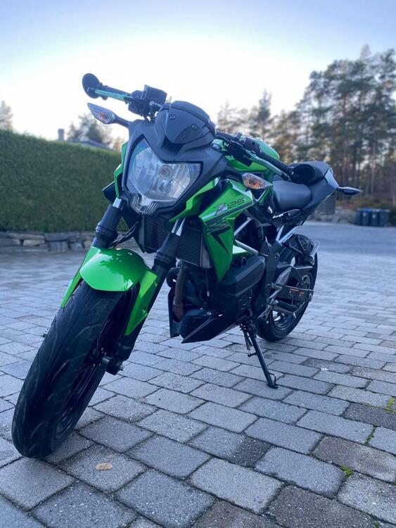 Kawasaki Z 125 (2019 - 20) (2)