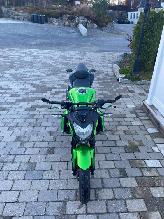 Kawasaki Z 125 (2019 - 20) (3)