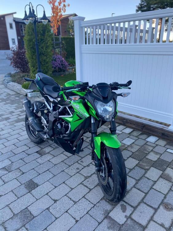 Kawasaki Z 125 (2019 - 20) (4)