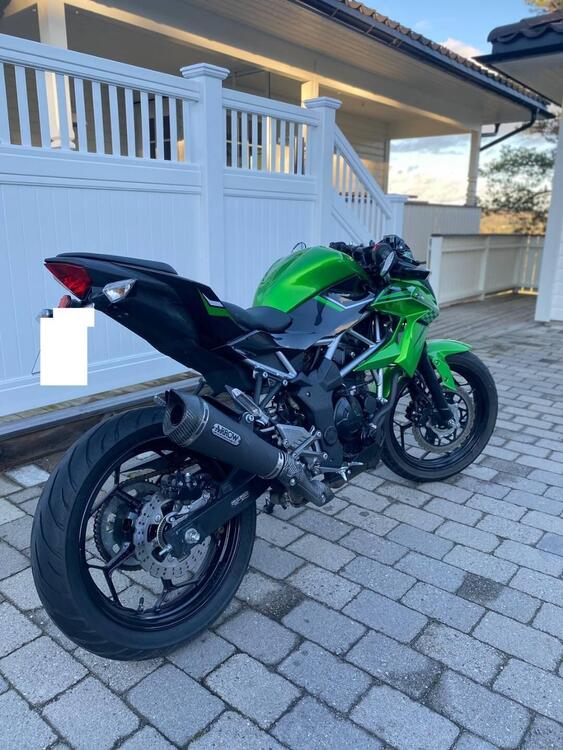 Kawasaki Z 125 (2019 - 20) (5)