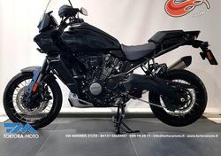 Harley-Davidson Pan America 1250 Special (2020 - 24) usata