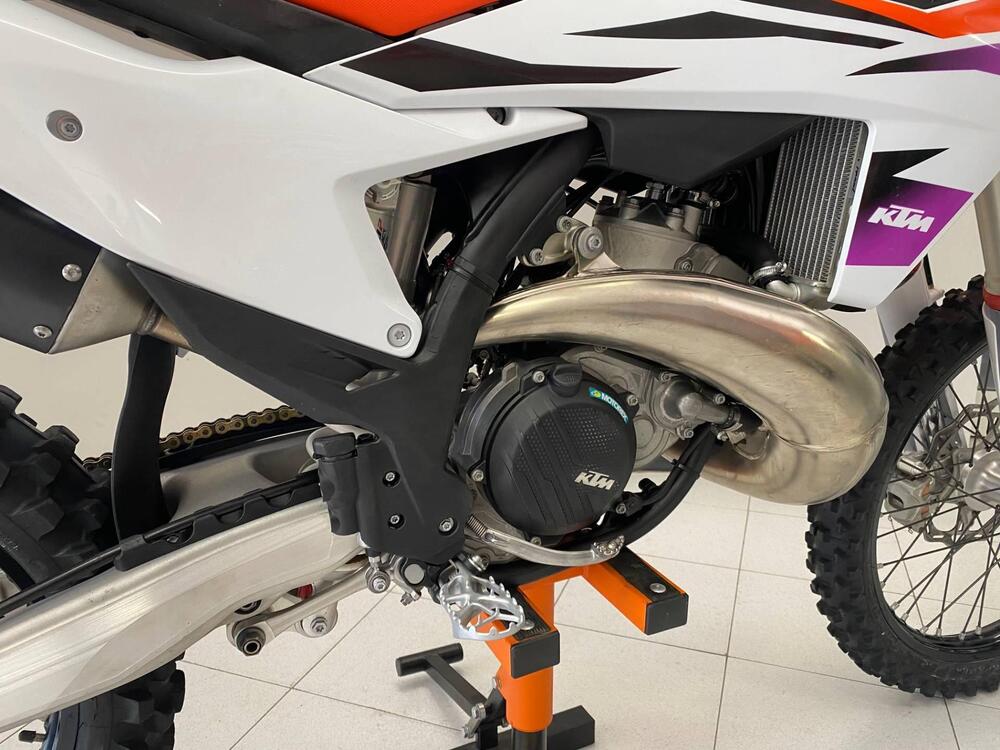 KTM SX 250 (2024) (3)