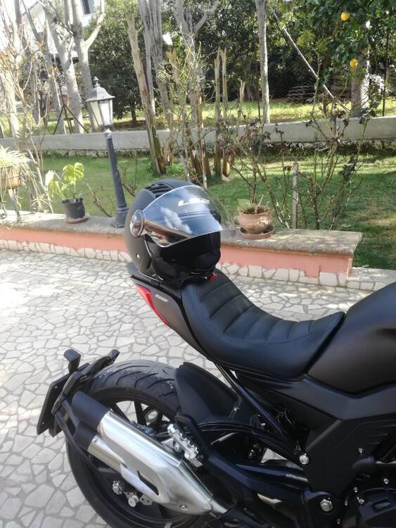 Benelli 502 C (2019 - 20) (4)