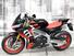 Aprilia Tuono 1100 V4 Factory (2021 - 24) (7)