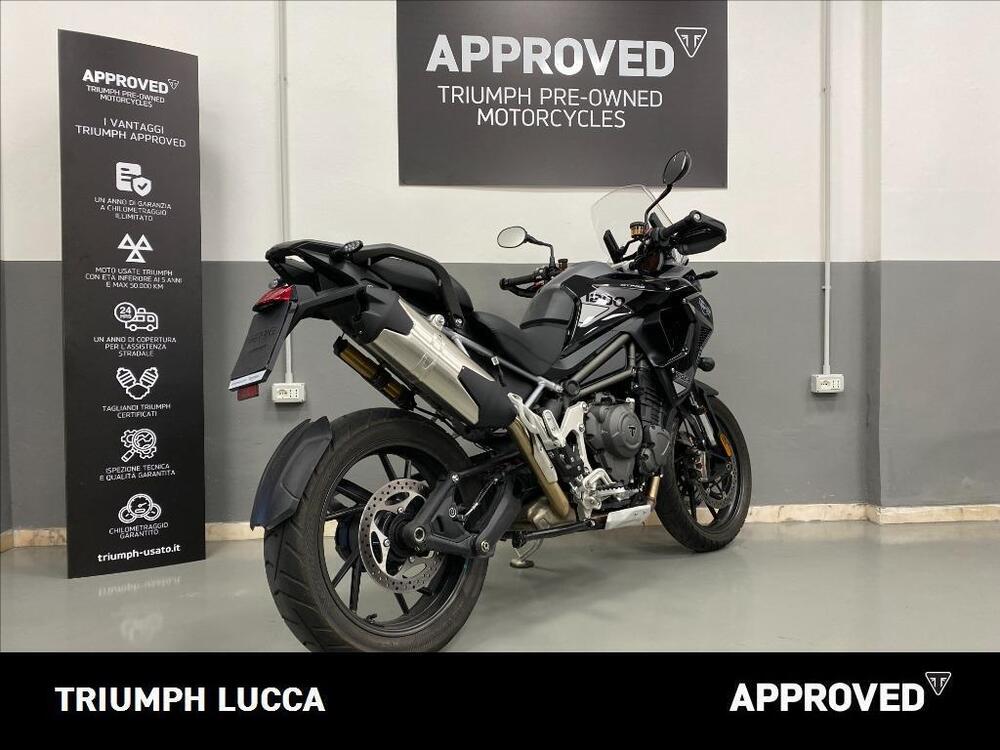 Triumph Tiger 1200 GT Pro (2024) (2)