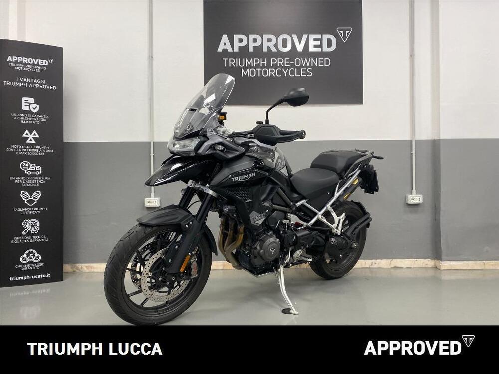 Triumph Tiger 1200 GT Pro (2024) (5)