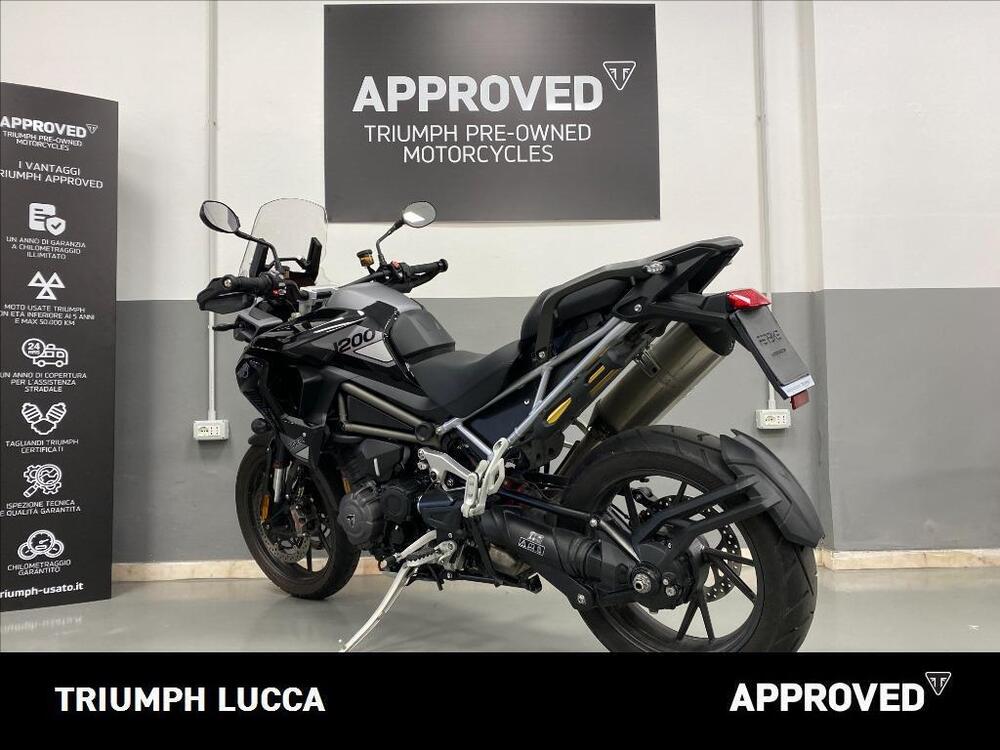 Triumph Tiger 1200 GT Pro (2024) (3)