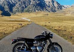 Triumph Bonneville T120 (2021 - 24) usata