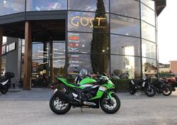 Kawasaki Ninja 636 ZX-6R (2024 - 25) nuova