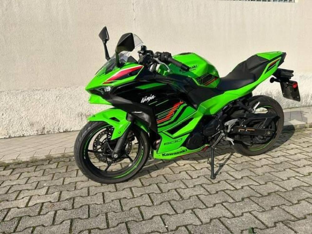 Kawasaki Ninja 500 (2024 - 25) (3)