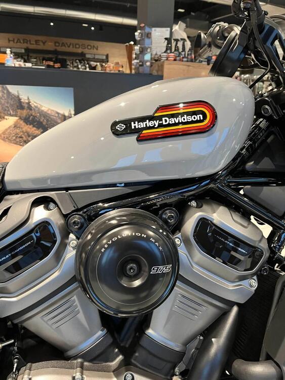 Harley-Davidson Nightster Special (2023 - 24) (3)