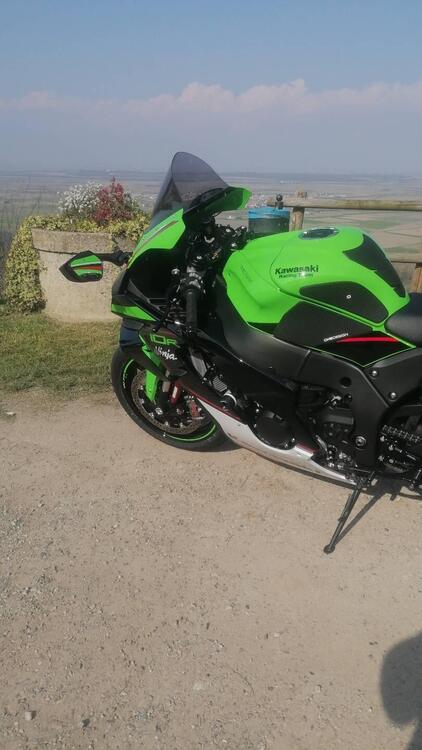 Kawasaki Ninja 1000 ZX-10R (2021 - 25) (5)