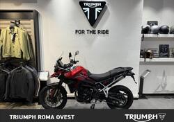 Triumph Tiger 900 GT Pro (2024) usata