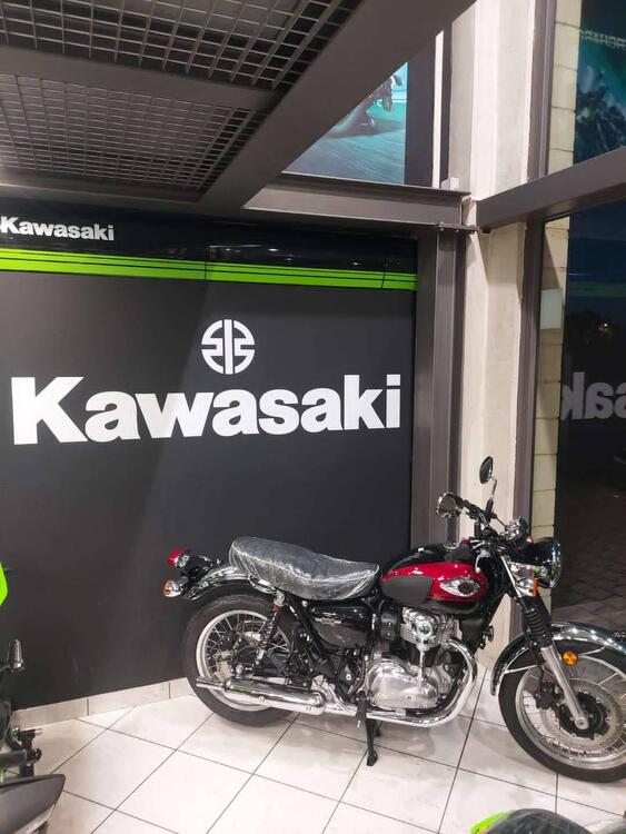 Kawasaki W 800 (2021 - 25) (5)