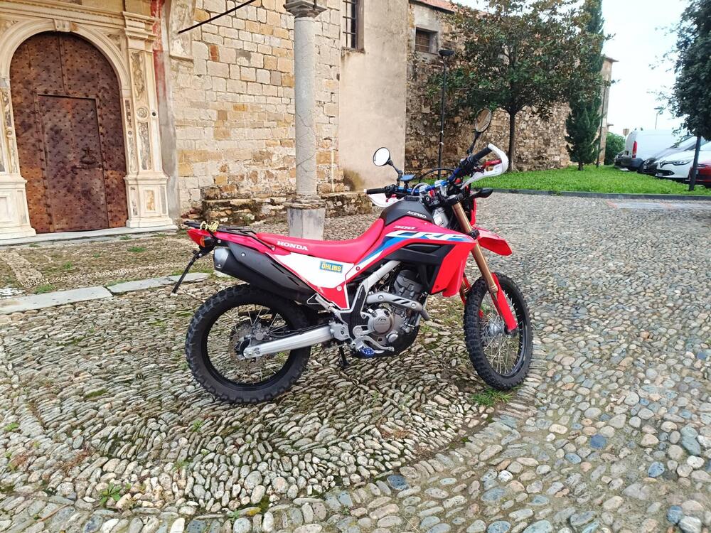 Honda CRF 300 L (2021 - 24) (4)