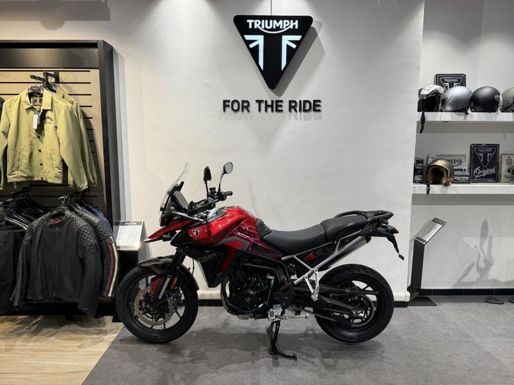 Triumph Tiger 900 GT Pro (2024)