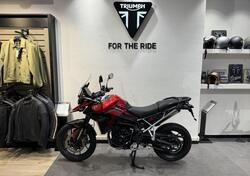 Triumph Tiger 900 GT Pro (2024) usata