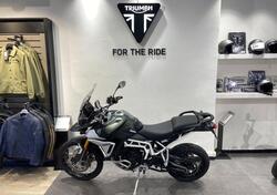 Triumph Tiger 900 Rally Pro (2024) usata