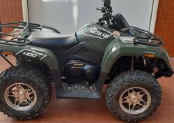 Arctic Cat 400 4x4 usata