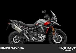 Triumph Tiger 900 Rally Pro (2024) usata