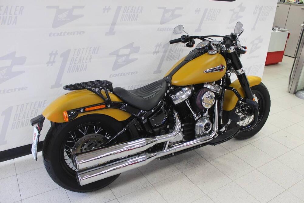 Harley-Davidson 107 Slim (2018 - 20) - FLSL (2)